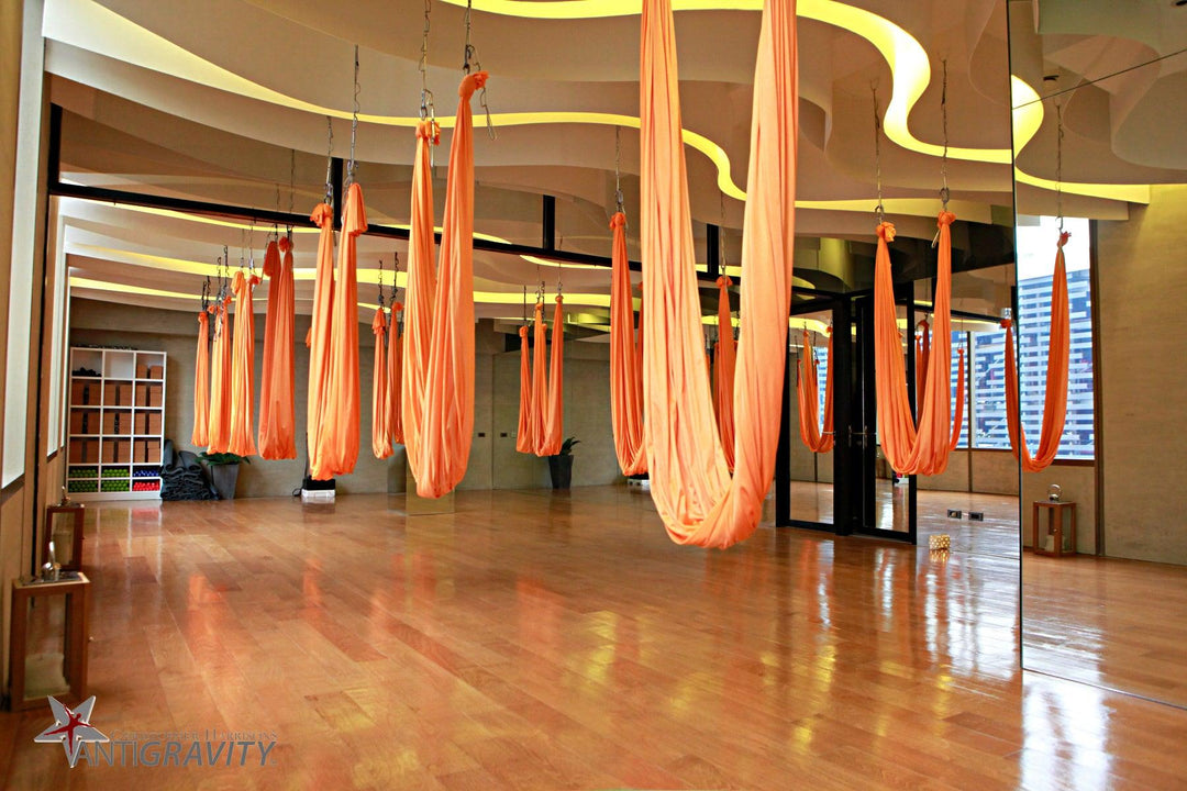 The Harrison AntiGravity® Hammock Kit - Athleticum Fitness